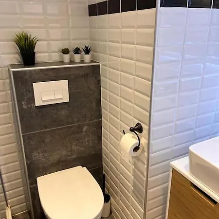 Au Coeur Des 2 Alpes Appartamento *