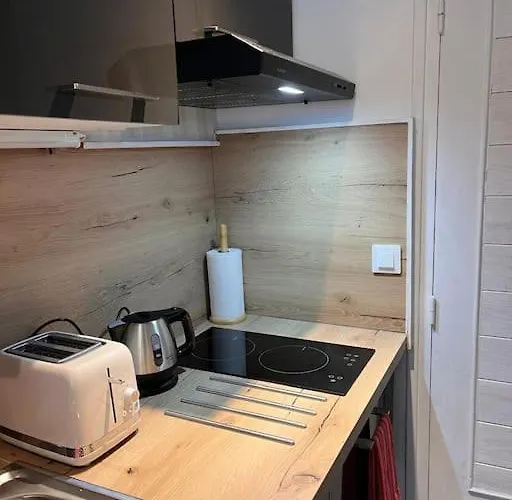 Au Coeur Des 2 Alpes Appartamento *